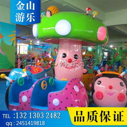 瓢蟲(chóng)樂(lè)園游樂(lè)設(shè)備廠家哪家好？附精選圖片大全與選購(gòu)指南